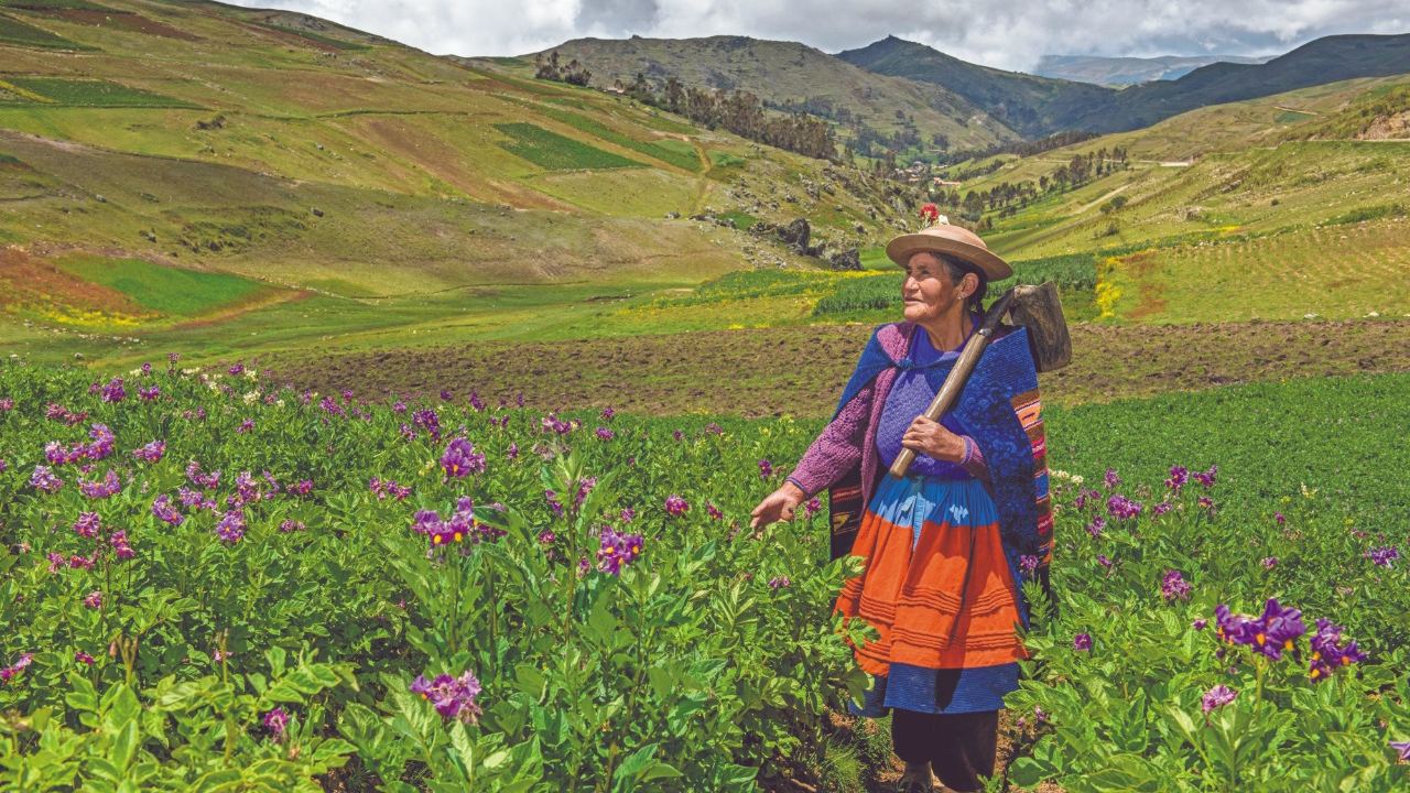 El Perú lanzó este 15 de octubre la «Estrategia de Emprendimiento de la Mujer Rural e Indígena» (EEMRI 2026), bajo la marca «El agro crece con ellas».
