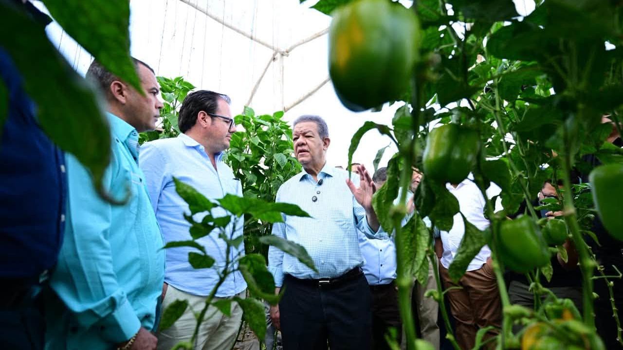 Leonel Fernández visitó este 20 de octubre un invernadero agrícola de la calle El Valle, en Constanza, La Vega.